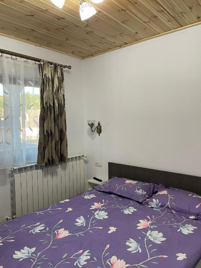 Casa De Langa Padure Hotell Sighetu Marmaţiei Exteriör bild