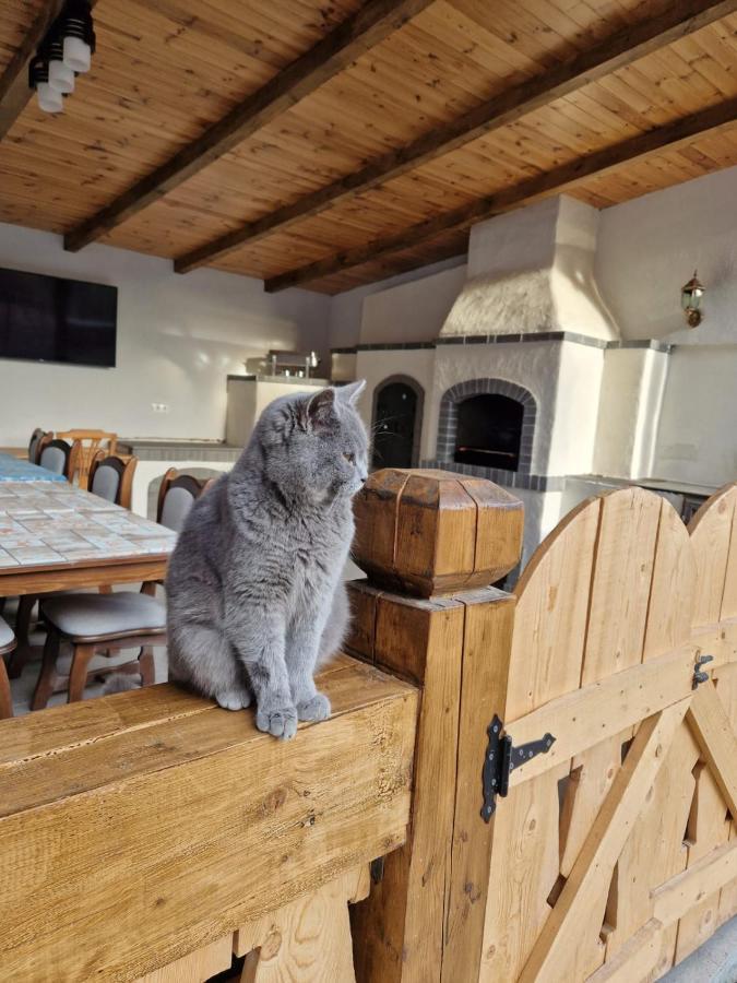 Casa De Langa Padure Hotell Sighetu Marmaţiei Exteriör bild